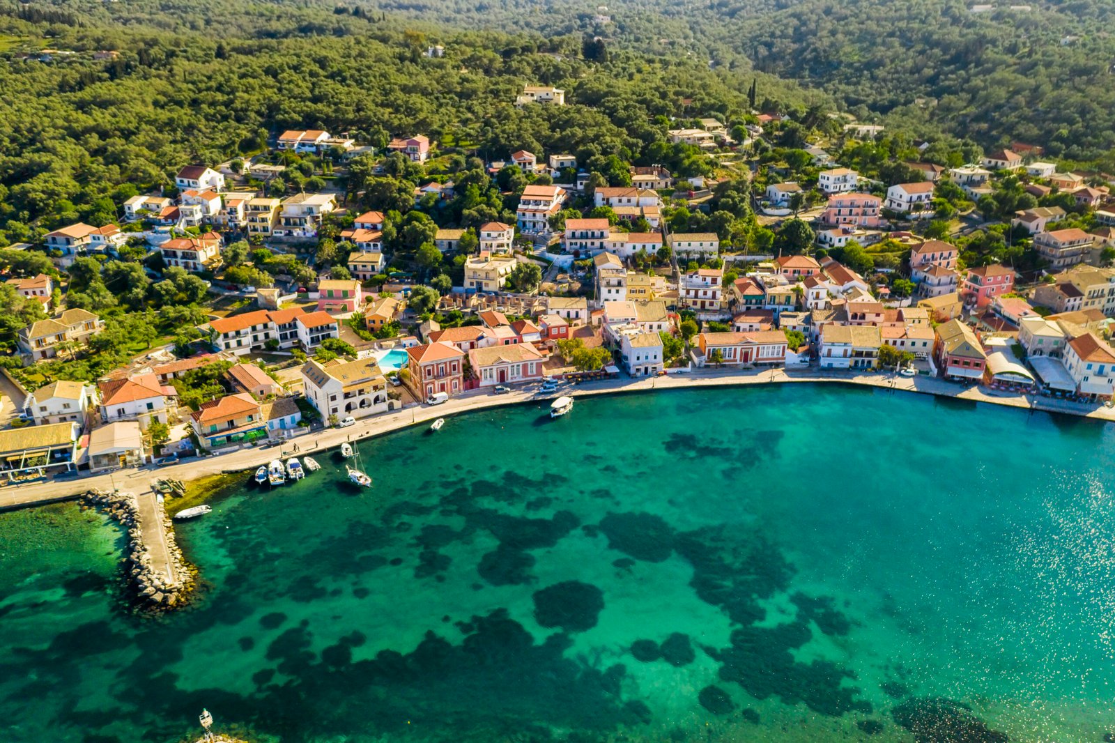 paxos image